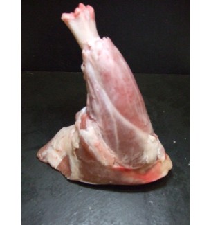 Souris d'agneau