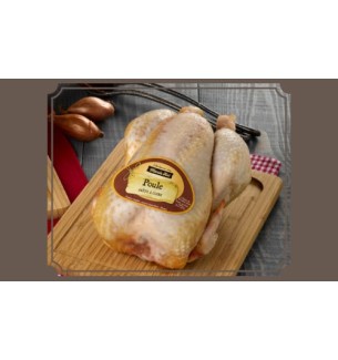 poule